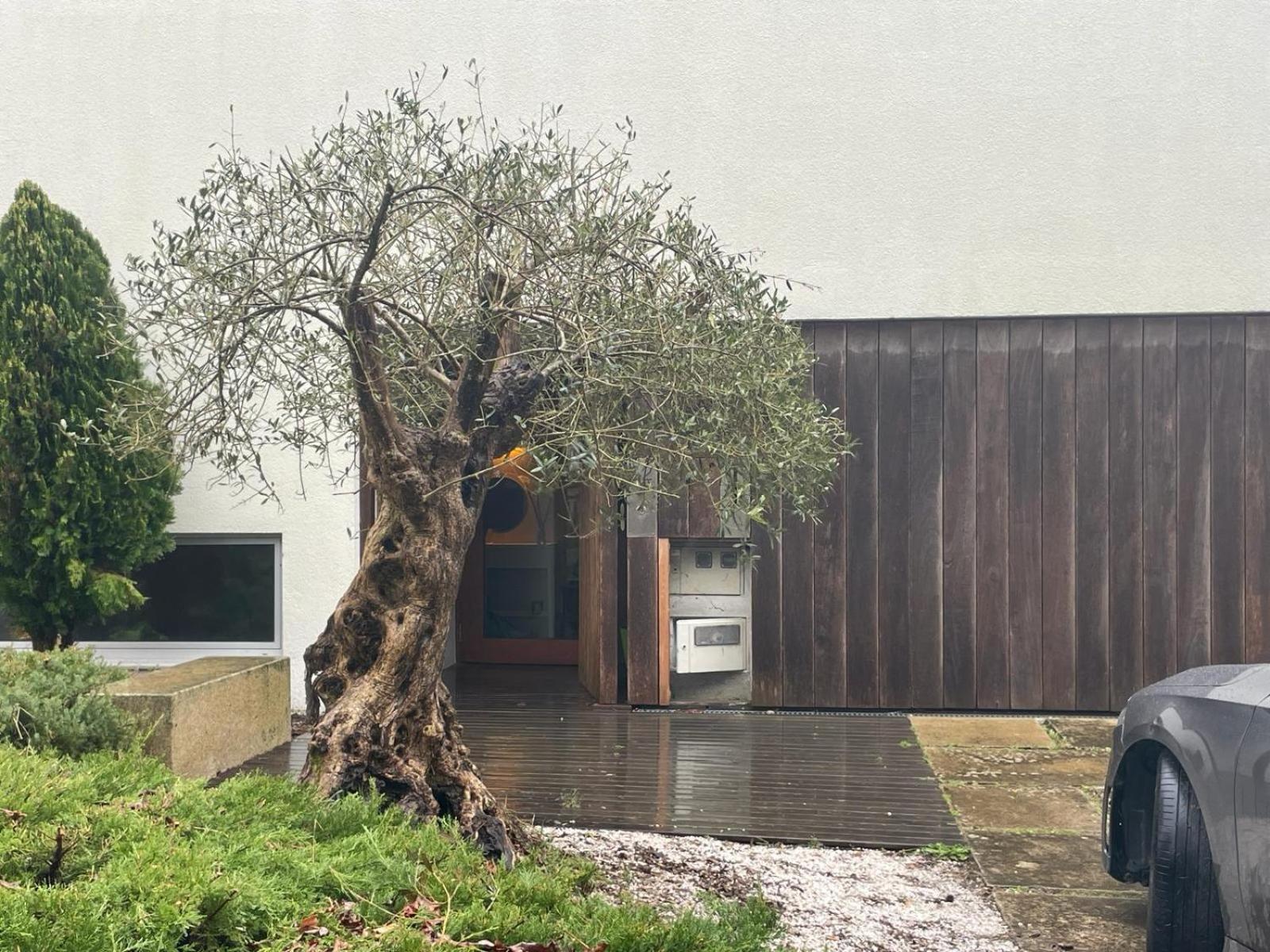 Gloria'S Design House Apartment Santiago de Compostela Bagian luar foto